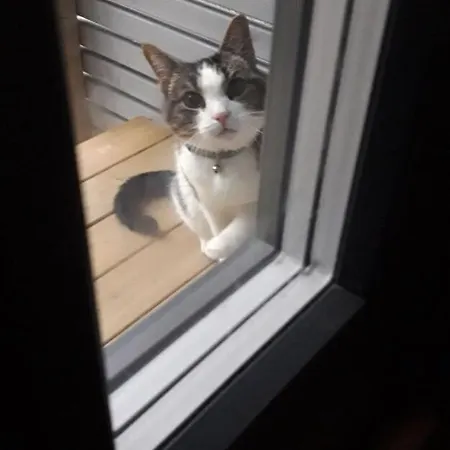 בית נופש Im Land Der Lappen Pakatti Kittilä
