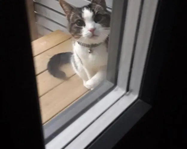 度假居 Im Land Der Lappen Pakatti 基蒂莱